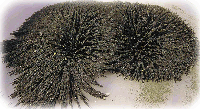 CleanSys-magnetit-energisystem.png